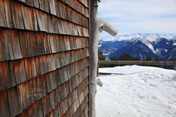 Cedar Siding Repair in Spring