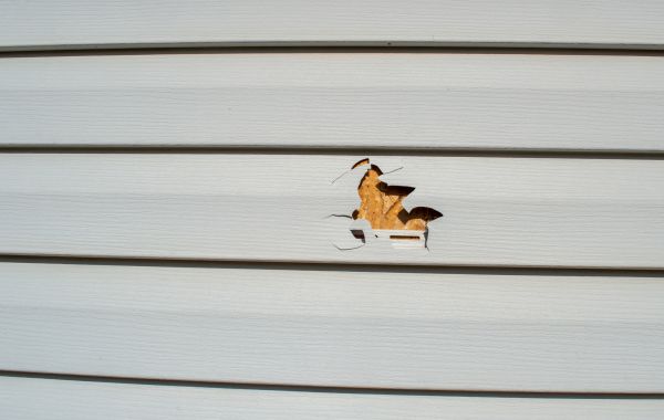 Siding Hole Patching in Spring