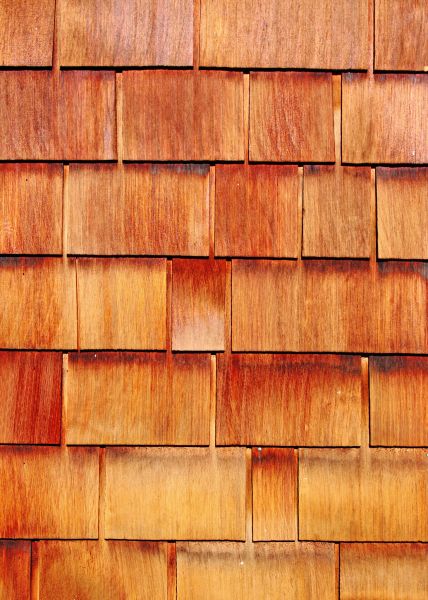 Cost of Wood Siding Replacement in Spring