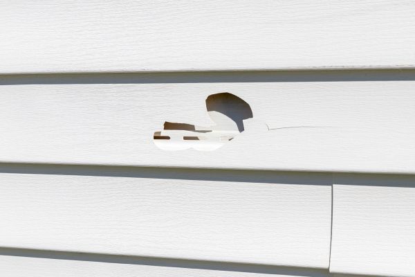 Cost of White Vinyl Siding Repair in Spring